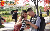 Con đường ngập tràn phong lá đỏ đẹp như phim Hàn Quốc ở Hà Nội